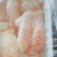 Graisse de Queue d'Agneau Halal Congelée de Haute Qualité à Bon Prix, Graisse de Queue d'Agneau Surgelée Disponible à la Vente