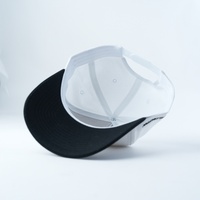 Casquette de baseball structurée à 5 panneaux, couleur personnalisée et logo personnalisé, visière incurvée, coton, unisexe, casquettes de sport