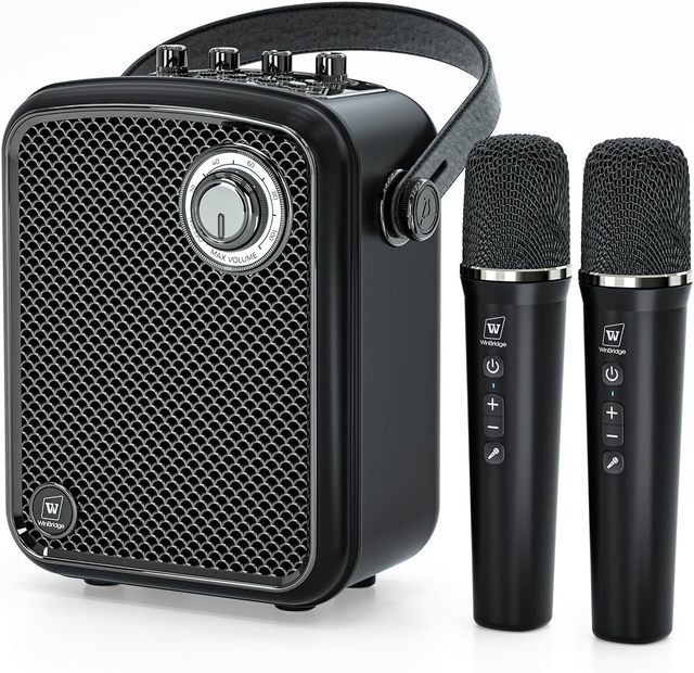 70W PA Karaoke Speaker with Original Sound Pro System