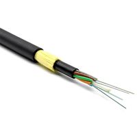 Cable de Fibra Óptica ADSS G652D de 12, 24 y 48 Núcleos, Resistente al Agua y a las Golpes de Aves, en Rollos de 1KM, 2KM y 4KM, Venta al Por Mayor