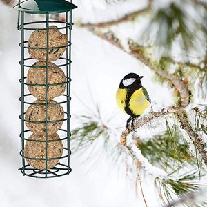 Oniya Hot Sale Medium-Sized Squirrel Proof Balls Wild <strong>Suet</strong> <strong>Bird</strong> <strong>Feeder</strong> Outdoor for Garden Decoration Metal - Product Image 5