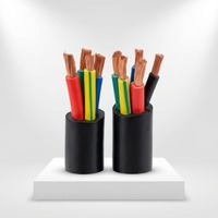 Produsen OEM YC EPR Selubung Karet Berinsulasi 450 750V Kabel Karet Tembaga Fleksibel Panjang Kustom untuk Galangan Kapal