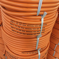 Tuyau de Gaz Flexible à Haute Pression en Caoutchouc pour Transfert de GPL Tressé 8MM BS3212