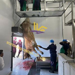 Équipement d'abattoir de vache à haute efficacité Ligne d'abattage de bétail Mini équipement d'abattoir de bétail - Product Image 5