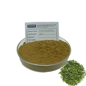 High Quality Green Tea Extract 95% Polyphenols Powder Green Tea Extract