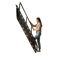 Escalier télescopique pliable en aluminium noir avec revêtement en poudre, style australien/américain moderne - Durable et écologique