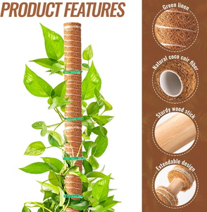 Varilla de soporte de fibra de coco para plantas trepadoras, columna de soporte para palmeras, soporte antideslizante para jardinería - Product Image 4