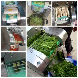 Multifunction Vegetable Chopper Onion Dicing Machine Tomato <strong>Photo</strong> Carrot Cutter Dicer Machine - Product Image 2