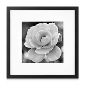 Black Square Photo Frame Galeria Kit de Parede com Arte Decorativa Impressões 12x12 Praça Molduras Molduras Imagem Wall Art