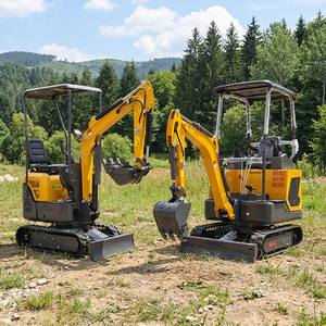 Miniexcavadora con Motor CE EPA de 1 Tonelada, 1.2 Toneladas, 1.6 Toneladas, 1.8 Toneladas, 2.5 Toneladas, Excavadora de Orugas, Miniexcavadora Agrícola - Product Image 1