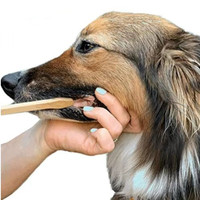 Brosse à dents en bambou Double face pour chien, accessoire de nettoyage des dents pour animaux domestiques, pour chiot, pour petits et grands félins, vente d'usine, nouveau produit