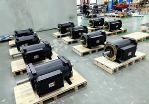 कम आरपीएम स्थायी चुंबक जनरेटर, कस्टम वोल्टेज 12 वी/24v/48v और आरपीएम, पवन/जल मुक्त ऊर्जा प्रणाली के लिए - Product Image 5