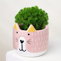 YUANWANG Chat Dessin Animé Pots Pour Plantes En Céramique Planteur Plantes Pot Bonsaï Succulent Pot