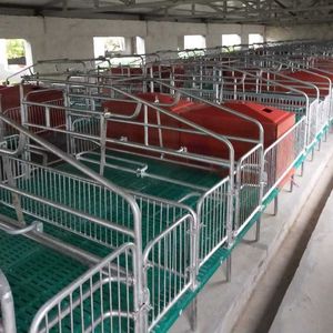 GREAT FARM Positioning Fence Panel Farming <strong>Pig</strong> Equipment Sow Farrowing <strong>Bed</strong> Dual <strong>Pig</strong> Farrowing Crate of <strong>Pig</strong> Farm - Product Image 5