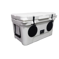 Glacière de coffre 45L en PE étanche, prête pour l'aventure, avec haut-parleurs, pour vin, nourriture, canettes, glace et confitures - Organisateur de rangement polyvalent