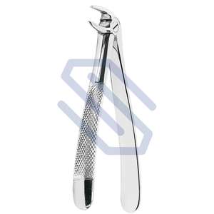 Pinzas de extracción Dental n. ° 33L, instrumentos quirúrgicos de acero inoxidable con patrón inglés, CE - Product Image 1