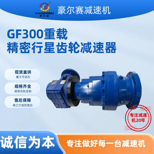 Reductor de Engranajes Planetarios de Precisión de Alta Resistencia GF300, Relación de Transmisión Ultra Alta, Alto Torque, Dientes Endurecidos, Maquinaria Industrial - Product Image 2