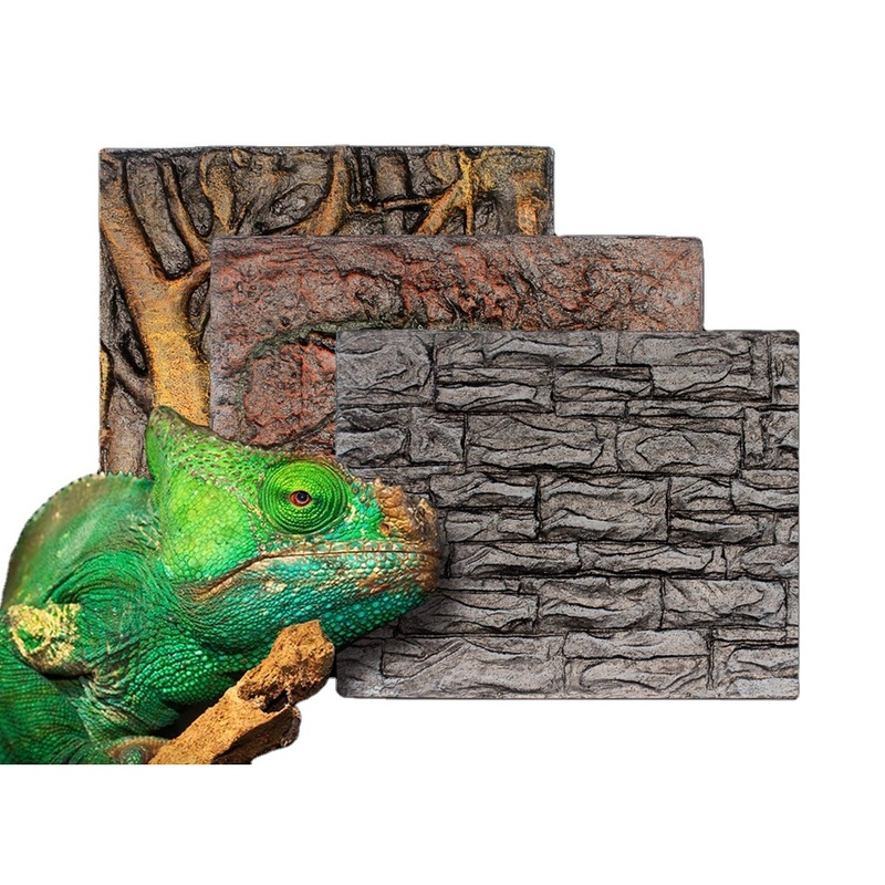 NOMOY PET Top Quality Reptiles 2