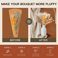 G5 Offre spéciale Bouquet d'herbe de pampa courte et duveteuse Bouquet d'herbe de pampa séchée Décor d'herbe de pampa séchée