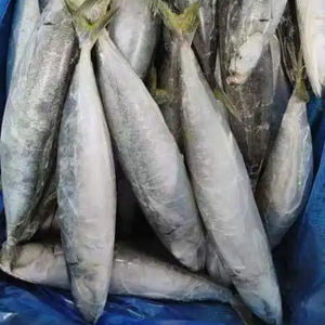 Especificaciones para Pescado Congelado: Caballa 300-500g - Product Image 3