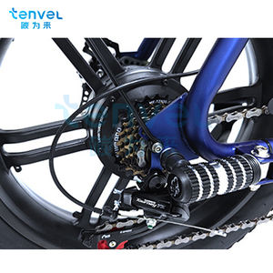 Elektrische Fiets Dikke Band Sneeuw Elektrische Fiets 20 ''Hoge Koolstofstalen Frame Ebike 48V <span class=keywords><strong>500W</strong></span>/750W/1000W E Fiets Met Schijf <span class=keywords><strong>Br</strong></span> - Product Image 4