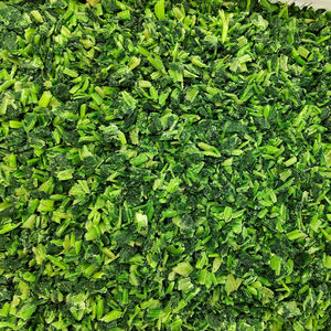 유기농 IQF 냉동 시금치 다진 도매 가격 신선한 고른 할랄 인증 찐 희게 야채 주사위 공 냉동 - Product Image 4