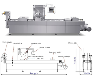 Machine d'emballage thermoformante continue automatique robuste pour barquettes en aluminium, idéale pour la viande, le bacon, les tranches de fromage et les boulettes de viande - Product Image 1