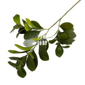 Branche de feuilles d'olivier artificielles, feuillage vert pour la décoration de la maison, des mariages, des hôtels, style nordique - Product Image 5
