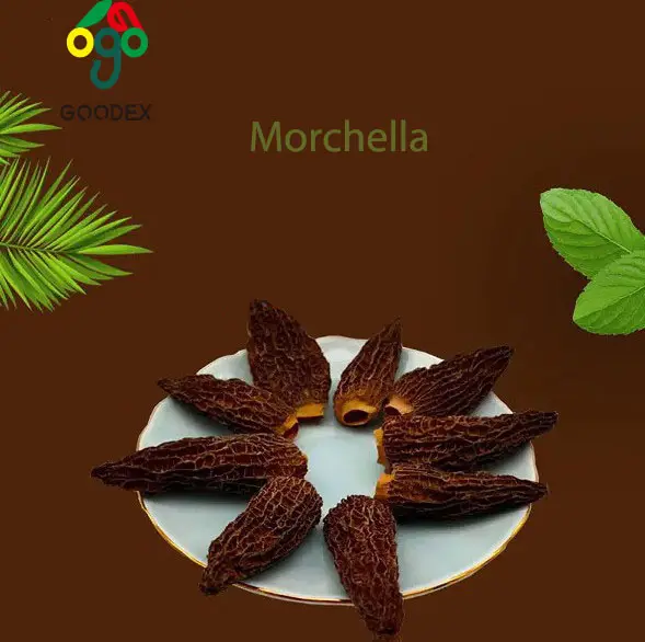 Factory supply best selling Morchella Esculenta