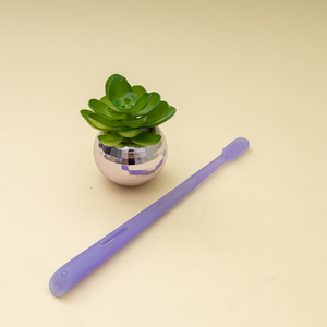 Brosse à dents moderne pour adulte, à poils personnalisés semi-transparents, couleur unie, New Life Simple, poils doux, avec logo privé - Product Image 2