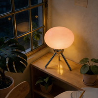 Lampe de bureau LED flexible à économie d'énergie, blanc chaud, abat-jour en verre, alimentation électrique DC, mini format, pour salle de lecture et scénarios haut de gamme