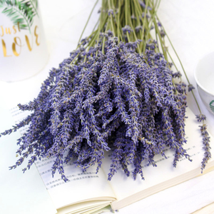 Arreglo de Flores Secas, Ramos de Flores Secas Naturales, Lavanda Seca Real para Decoración del Hogar, Ramos de Flores Secas - Product Image 6