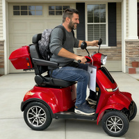 Scooter électrique de mobilité 1000W EEC 25 km/h, stable et sûr, avec batterie amovible, suspension intégrale, capacité de charge de 200 kg, pour personnes âgées