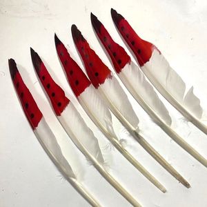 Bán Buôn Lông Vịt Trong Sáng Nhuộm Mô Hình 20-30Cm Cho Tóc Phụ Kiện Mặt Nạ & Đảng Trang Trí - Product Image 3