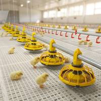Équipement complet d'élevage avicole, système automatique d'alimentation et d'abreuvement des poulets pour élevage de poulets de chair