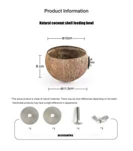 Comedero de Cáscara de Coco para Hámster, Ardilla, Cobaya, Loro, Tazón de Comida Fijo de Cáscara de Coco - Product Image 5