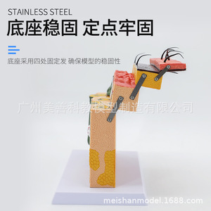 ,, - Product Image 3