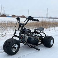 Venta al por Mayor en China, Triciclo Go-Kart Personalizado de 212cc, 4 Tiempos, Llantas de 5 Pulgadas, Go-Kart Todoterreno para Niños y Adultos, Kart para Exteriores