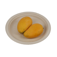 Plaque ronde en bagasse de 7 pouces plaquée sans produits chimiques jetable Plaque de pulpe de canne à sucre