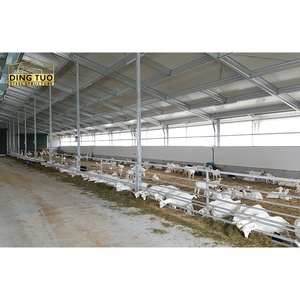 Nave industrial prefabricada de acero pesado de bajo costo, estructura para ganado, graneros, salas de exposición de automóviles, almacenes, diseño de granjas avícolas y centros comerciales - Product Image 6