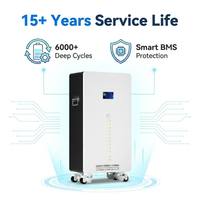Batterie LiFePO4 15,36 kWh 51,2 V 300 Ah pour stockage solaire hybride, 6000+ cycles, Grade A, pour système de stockage d'énergie domestique