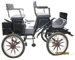 Trasporto speciale in acciaio carretto per la maratona di formazione - Product Image 2