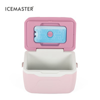 IceMaster FUN 5.5L Usine En Gros Haute Vente isolé PP Intérieur avec Poignée Petite Livraison de Nourriture Rigide Glacière pour Poisson