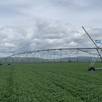 Système d'irrigation à pivot central 2025 pour systèmes d'irrigation agricole africains moteur en métal