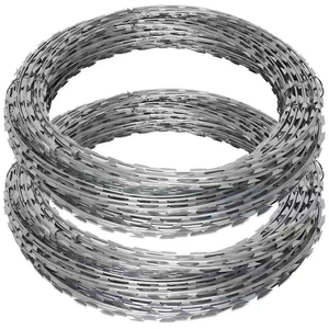 Alambre de seguridad doble trenzado galvanizado tipo concertina para cercas, precio de fábrica, para seguridad agrícola y residencial - Product Image 1