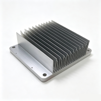 Radiateur de refroidissement en aluminium avec plaque à bride intégrée sur mesure, usinage CNC, perçage, extrusion, dissipateur thermique pour amplificateur de puissance