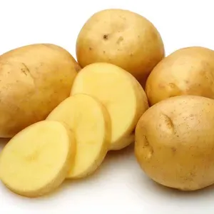 Lezzetli yemek için 2024 çin tedarikçisi taze patates sarı patates