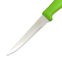 Ensemble de couteaux à éplucher jetables en acier inoxydable avec manche en plastique PP de couleur bonbon, couteau à steak dentelé pour une utilisation en cuisine, populaire auprès des chefs