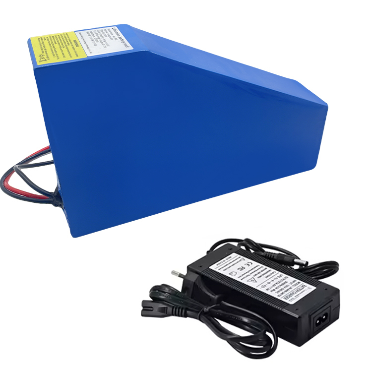 Hailong Ebike Battery 48v 30AH 52v