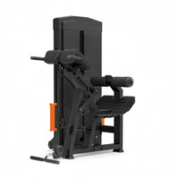 Machine d'extension arrière personnalisée de chaise romaine complète réglable d'équipement de forme physique de puissance commerciale